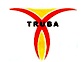 TRUBA COLLEGE OF SCIENCE AND TECHNOLOGY