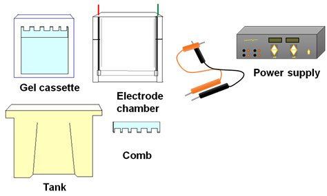 Picture1.png