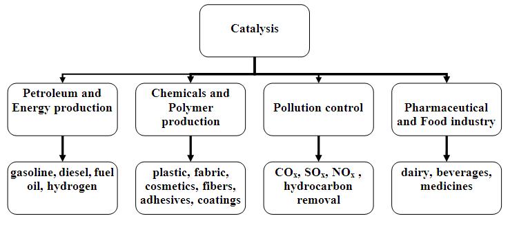 Organization Chart