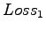 $ Loss_{1}$