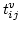 $t_{ij}^v$