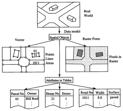 Vector Raster And Real World Model Basic GPS