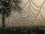 http://t3.gstatic.com/images?q=tbn:ANd9GcRMbw3Uh5doD5Y8mFQjL_mf3rSvrF0ehSPIvMQEkJEZLk650fOCjA