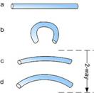 two way shape intrinsic memory
