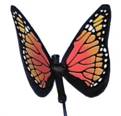 http://www.imagesco.com/catalog/nitinol/butterfly.jpg