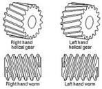 http://upload.wikimedia.org/wikipedia/commons/thumb/f/f8/Worm_hand.jpg/220px-Worm_hand.jpg