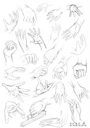 hand%2Banatomy%2Bdrawing%2B1-25