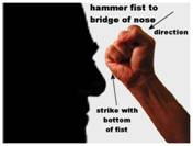 http://www.cse.dmu.ac.uk/%7Ebb/dg/SelfDefence/Strikes/hammerfist1a.jpg
