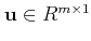 $ \mathbf{u} \in R^{m\times 1}$