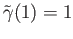 $ {\tilde \gamma}(1) = 1$