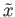$ {\tilde{x}}$