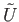 $ {\tilde U}$