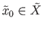 $ {\tilde x}_0 \in {\tilde X}$