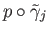 $\displaystyle p \circ {\tilde\gamma}_j$