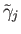 $ {\tilde \gamma}_j$