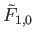 $ {\tilde F}_{1,0}$