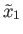 $ {\tilde x}_1$