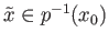 $ {\tilde x}\in p^{-1}(x_0)$