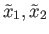 $ {\tilde x}_1, {\tilde x}_2$