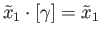 $\displaystyle {\tilde x}_1\cdot[\gamma] = {\tilde x}_1
$