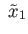 $ \;{\tilde x}_1$
