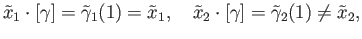 $\displaystyle {\tilde x}_1\cdot[\gamma] = {\tilde \gamma}_1(1) = {\tilde x}_1,\quad {\tilde x}_2\cdot [\gamma] = {\tilde \gamma}_2(1) \neq {\tilde x}_2,
$