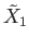 $ {\tilde X}_1$