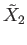 $ {\tilde X}_2$