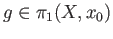 $ g \in \pi_1(X, x_0)$