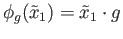 $\displaystyle \phi_g(\tilde x_1) = \tilde x_1 \cdot g
$