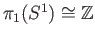 $ \pi_1(S^1) \cong \mathbb{Z}$