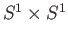 $ S^1\times S^1$