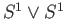 $ S^1\vee S^1$