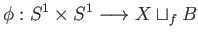 $\displaystyle \phi:S^1\times S^1 \longrightarrow X\sqcup_fB
$