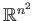 $ \mathbb{R}^{n^2}$