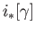 $ i_*[\gamma]$