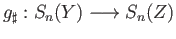 $ g_{\sharp}:S_n(Y)\longrightarrow S_n(Z)$