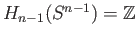 $ H_{n-1}(E^n) = \{0\}$