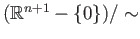 $ (\mathbb{R}^{n+1} - \{0\})/\sim$