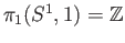 $ \pi_1(S^1, 1)=\mathbb{Z}$