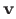 $ {\bf v}$