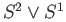 $ S^2\vee S^1$