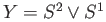 $ Y = S^2\vee S^1$