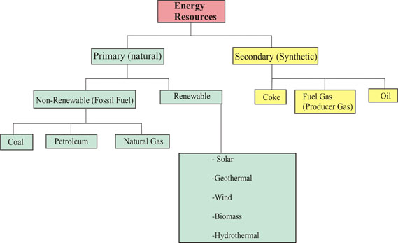 Formation Of Coal Flow Chart