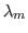 $\lambda_m$
