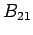 $ B_{21}$