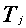 Tj