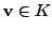 $ {\mathbf v}\in
K$